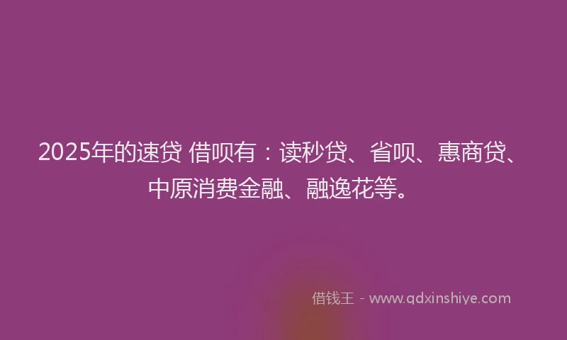 2025年的速贷 借呗有：读秒贷、省呗、惠商贷、中原消费金融、融逸花等。
