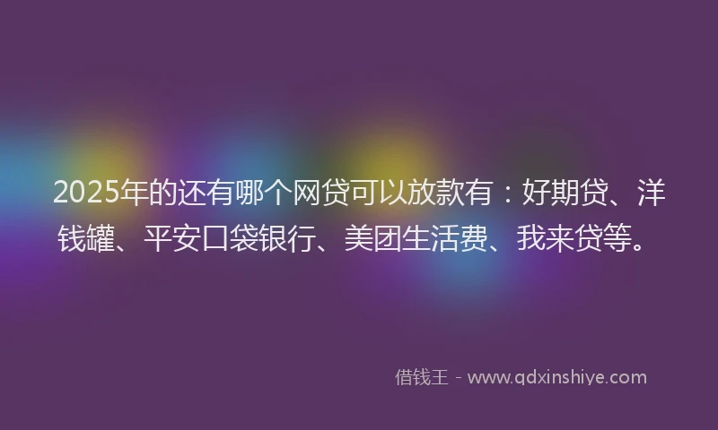 2025年的还有哪个网贷可以放款有：好期贷、洋钱罐、平安口袋银行、美团生活费、我来贷等。