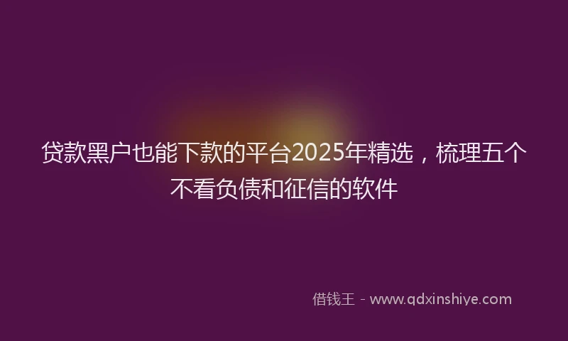 贷款黑户也能下款的平台2025年精选，梳理五个不看负债和征信的软件