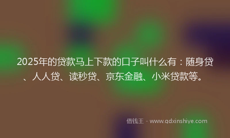 2025年的贷款马上下款的口子叫什么有：随身贷、人人贷、读秒贷、京东金融、小米贷款等。