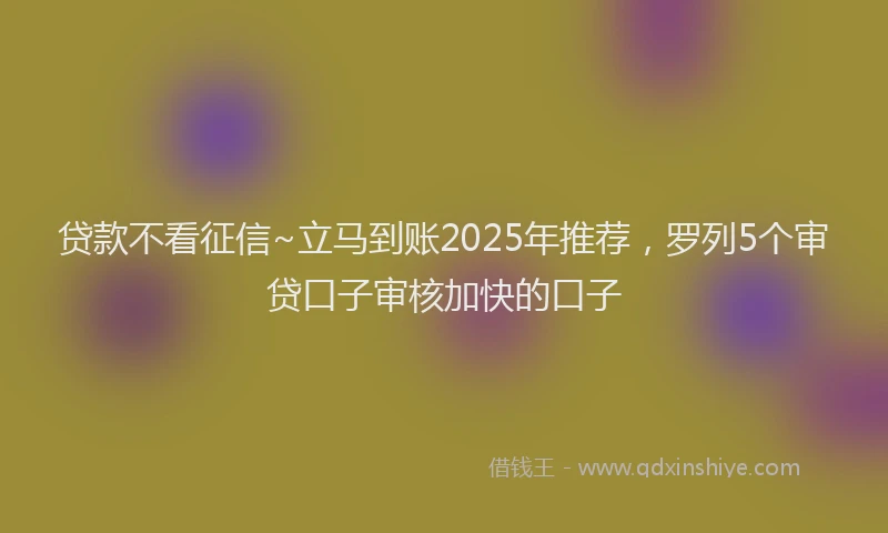 贷款不看征信~立马到账2025年推荐，罗列5个审贷口子审核加快的口子