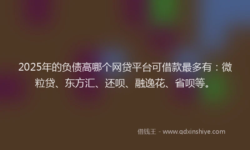2025年的负债高哪个网贷平台可借款最多有：微粒贷、东方汇、还呗、融逸花、省呗等。