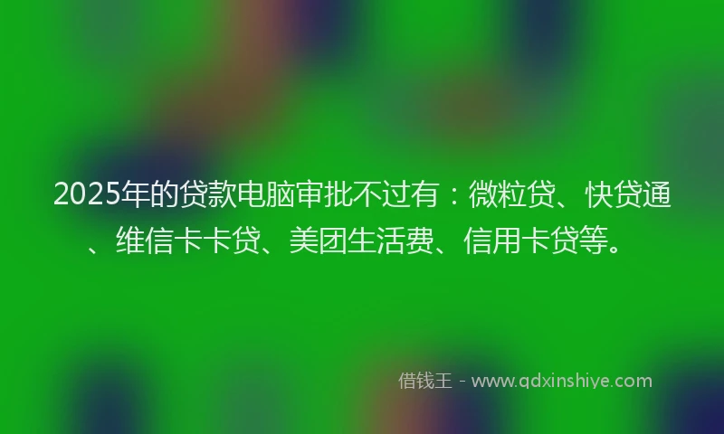2025年的贷款电脑审批不过有：微粒贷、快贷通、维信卡卡贷、美团生活费、信用卡贷等。