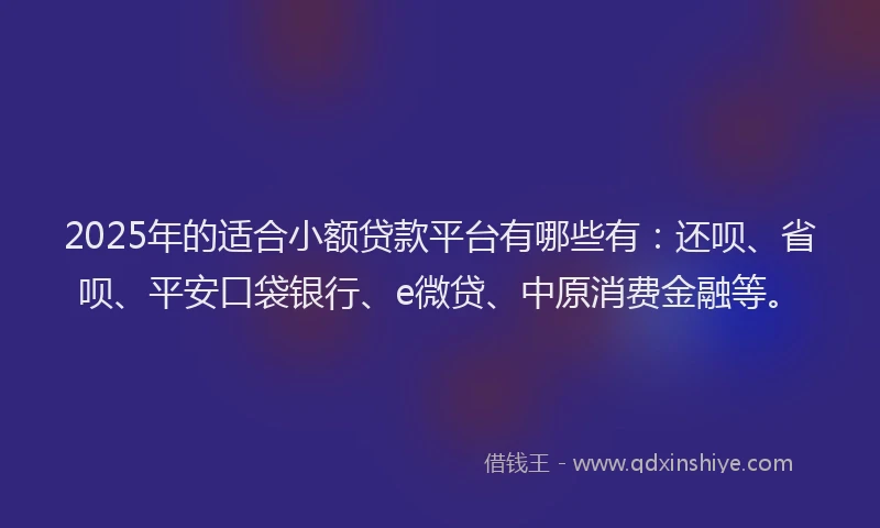 2025年的适合小额贷款平台有哪些有：还呗、省呗、平安口袋银行、e微贷、中原消费金融等。