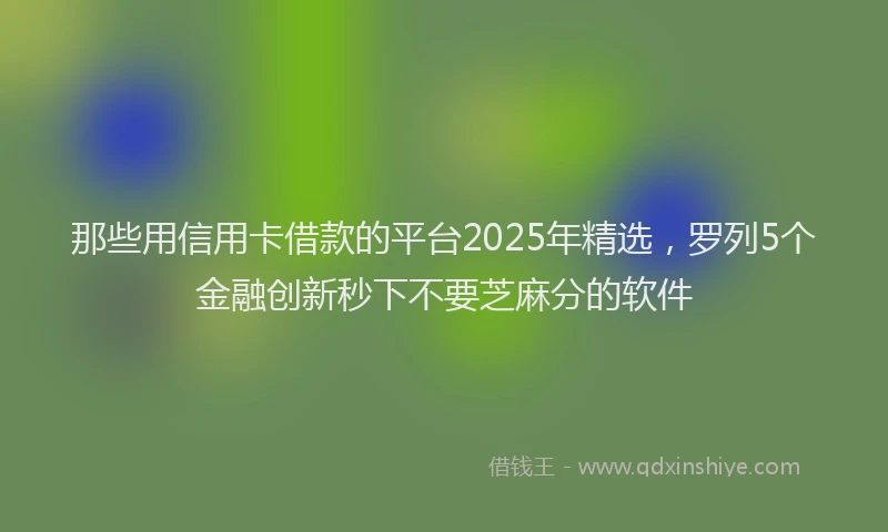 那些用信用卡借款的平台2025年精选，罗列5个金融创新秒下不要芝麻分的软件