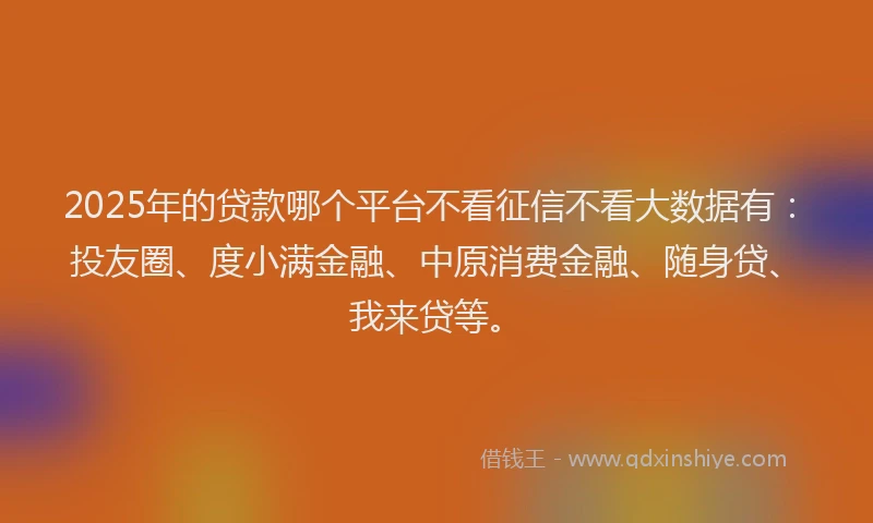 2025年的贷款哪个平台不看征信不看大数据有：投友圈、度小满金融、中原消费金融、随身贷、我来贷等。