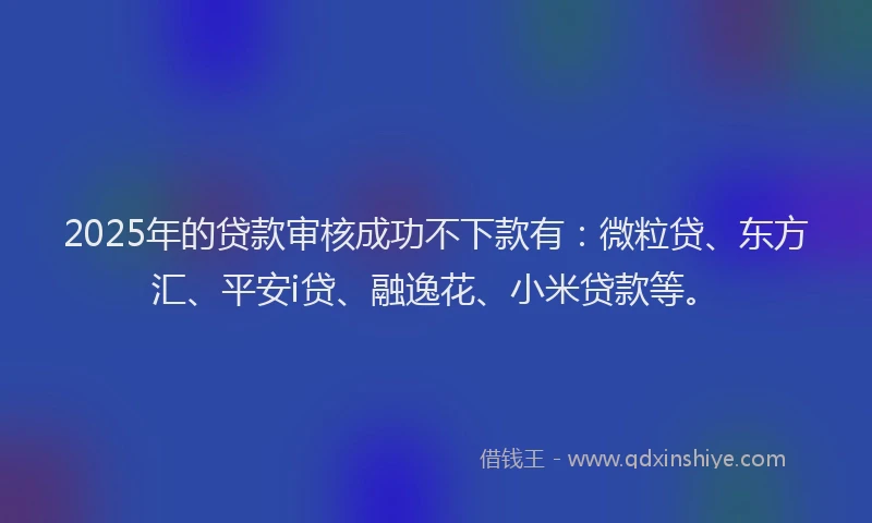2025年的贷款审核成功不下款有：微粒贷、东方汇、平安i贷、融逸花、小米贷款等。