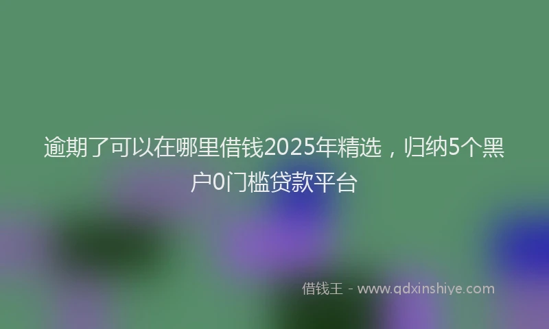 逾期了可以在哪里借钱2025年精选，归纳5个黑户0门槛贷款平台