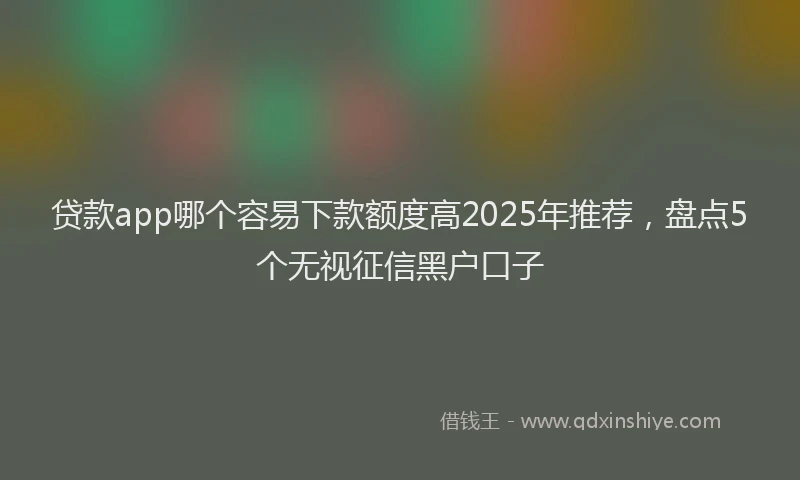 贷款app哪个容易下款额度高2025年推荐，盘点5个无视征信黑户口子