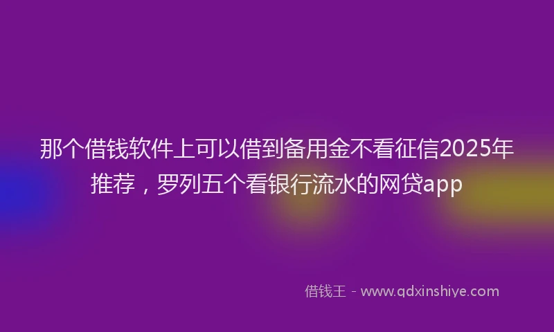 那个借钱软件上可以借到备用金不看征信2025年推荐，罗列五个看银行流水的网贷app