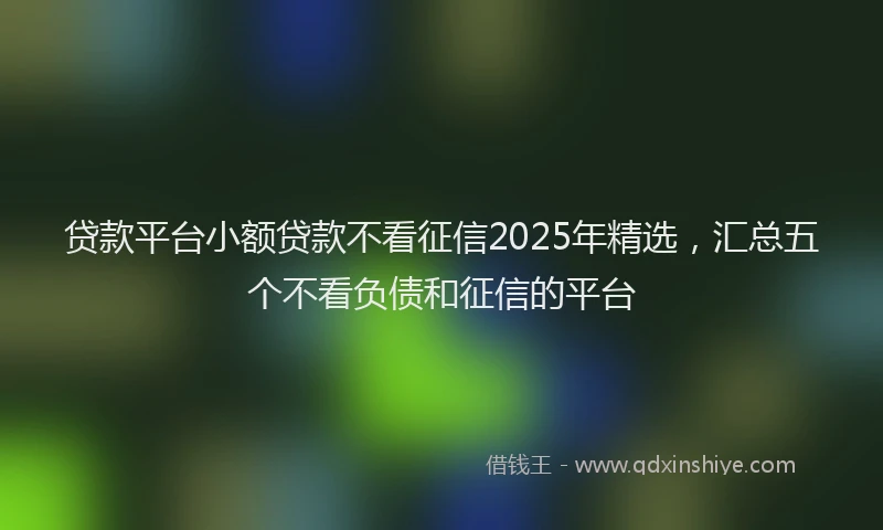贷款平台小额贷款不看征信2025年精选，汇总五个不看负债和征信的平台