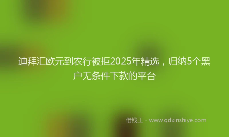 迪拜汇欧元到农行被拒2025年精选，归纳5个黑户无条件下款的平台