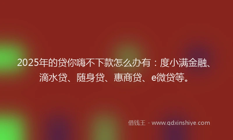 2025年的贷你嗨不下款怎么办有：度小满金融、滴水贷、随身贷、惠商贷、e微贷等。
