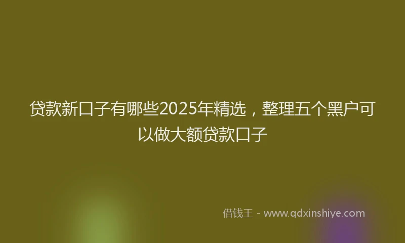 贷款新口子有哪些2025年精选，整理五个黑户可以做大额贷款口子