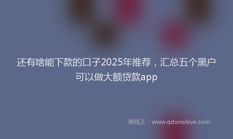 还有啥能下款的口子2025年推荐，汇总五个黑户可以做大额贷款app