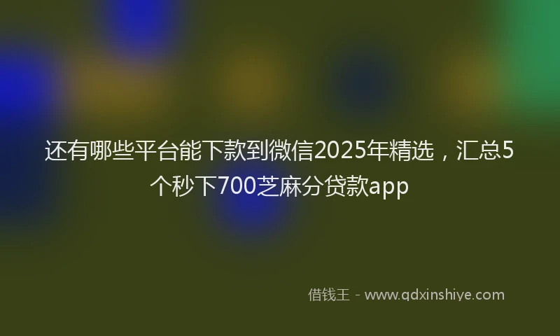 还有哪些平台能下款到微信2025年精选，汇总5个秒下700芝麻分贷款app