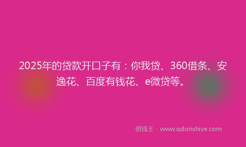 2025年的贷款开口子有：你我贷、360借条、安逸花、百度有钱花、e微贷等。