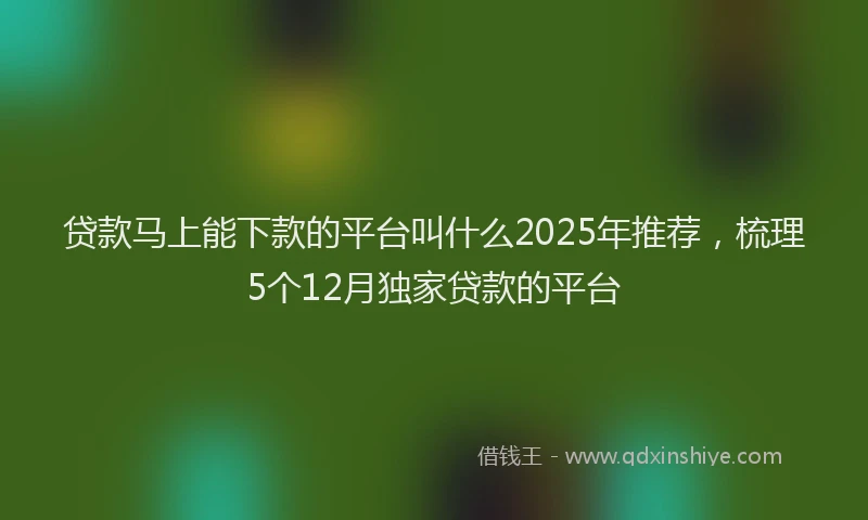 贷款马上能下款的平台叫什么2025年推荐，梳理5个12月独家贷款的平台