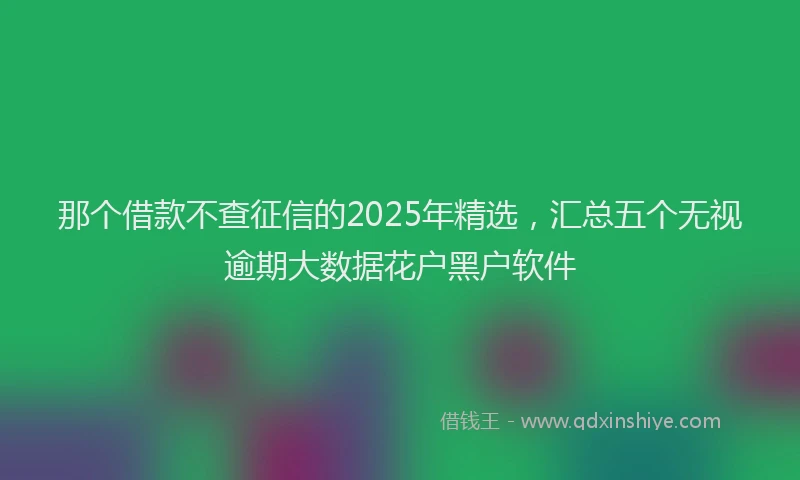 那个借款不查征信的2025年精选，汇总五个无视逾期大数据花户黑户软件