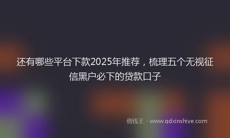 还有哪些平台下款2025年推荐，梳理五个无视征信黑户必下的贷款口子