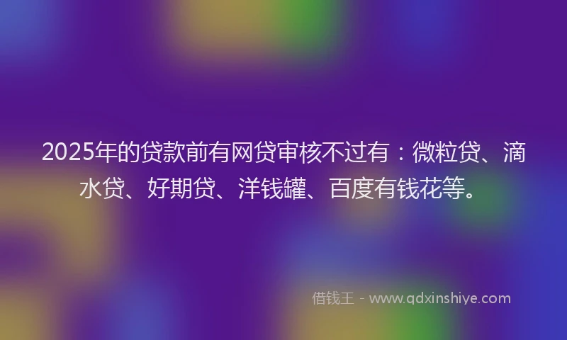 2025年的贷款前有网贷审核不过有：微粒贷、滴水贷、好期贷、洋钱罐、百度有钱花等。