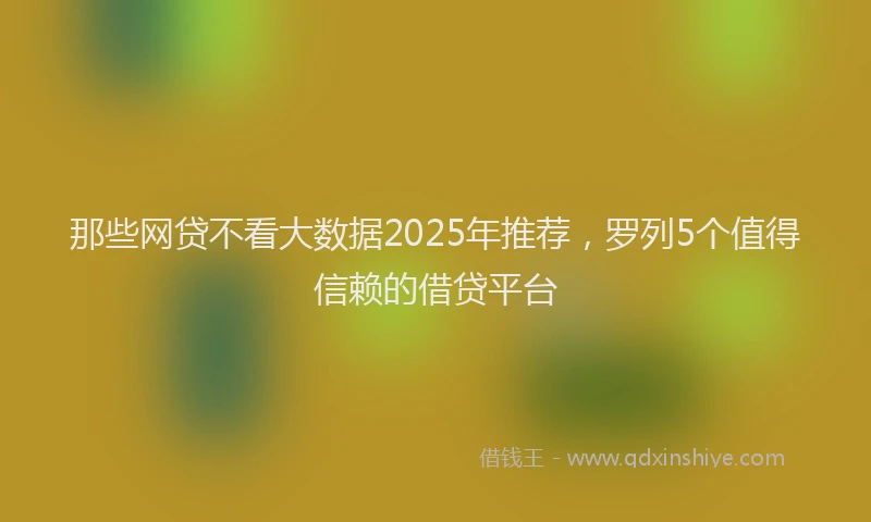 那些网贷不看大数据2025年推荐，罗列5个值得信赖的借贷平台