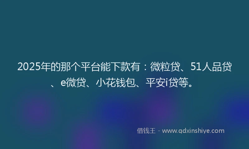 2025年的那个平台能下款有：微粒贷、51人品贷、e微贷、小花钱包、平安i贷等。