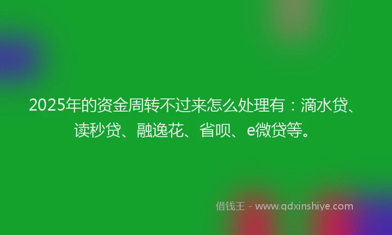 2025年的资金周转不过来怎么处理有：滴水贷、读秒贷、融逸花、省呗、e微贷等。