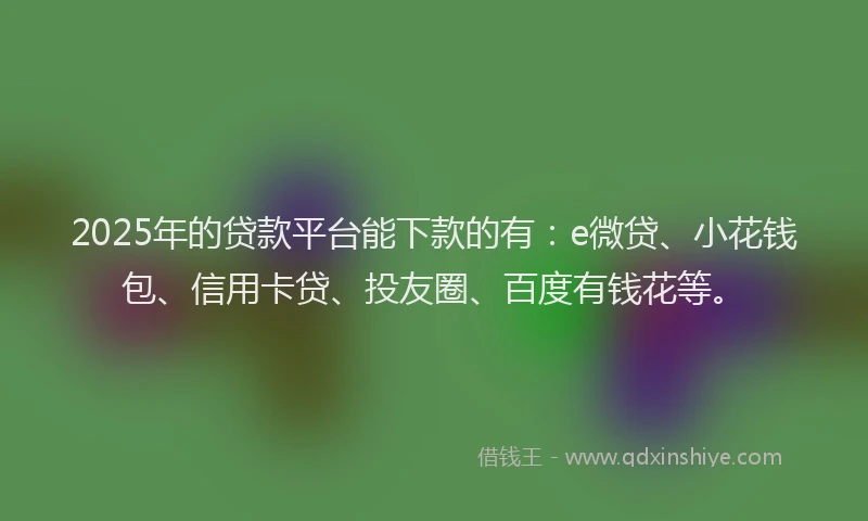 2025年的贷款平台能下款的有：e微贷、小花钱包、信用卡贷、投友圈、百度有钱花等。