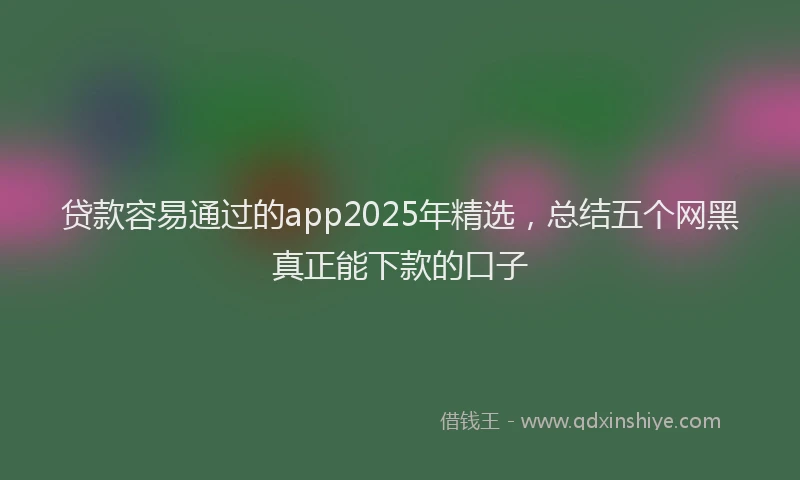 贷款容易通过的app2025年精选，总结五个网黑真正能下款的口子