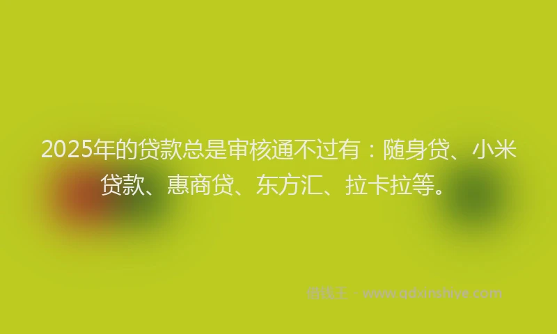 2025年的贷款总是审核通不过有：随身贷、小米贷款、惠商贷、东方汇、拉卡拉等。