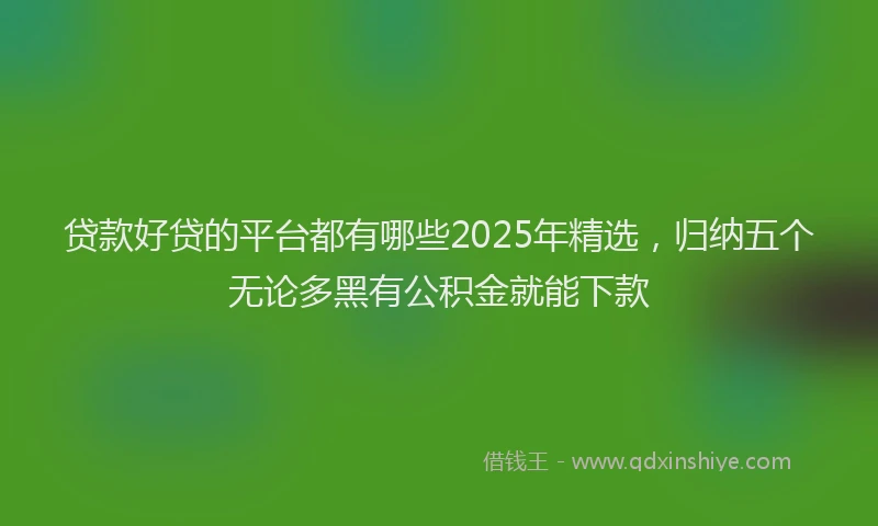 贷款好贷的平台都有哪些2025年精选，归纳五个无论多黑有公积金就能下款