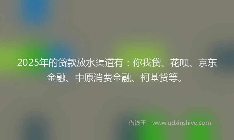 2025年的贷款放水渠道有：你我贷、花呗、京东金融、中原消费金融、柯基贷等。