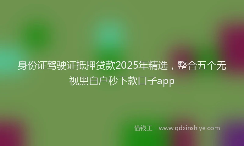 身份证驾驶证抵押贷款2025年精选，整合五个无视黑白户秒下款口子app