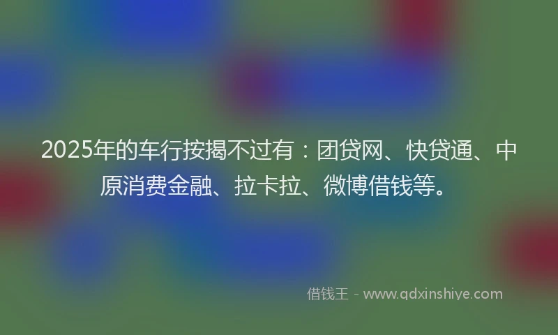 2025年的车行按揭不过有：团贷网、快贷通、中原消费金融、拉卡拉、微博借钱等。