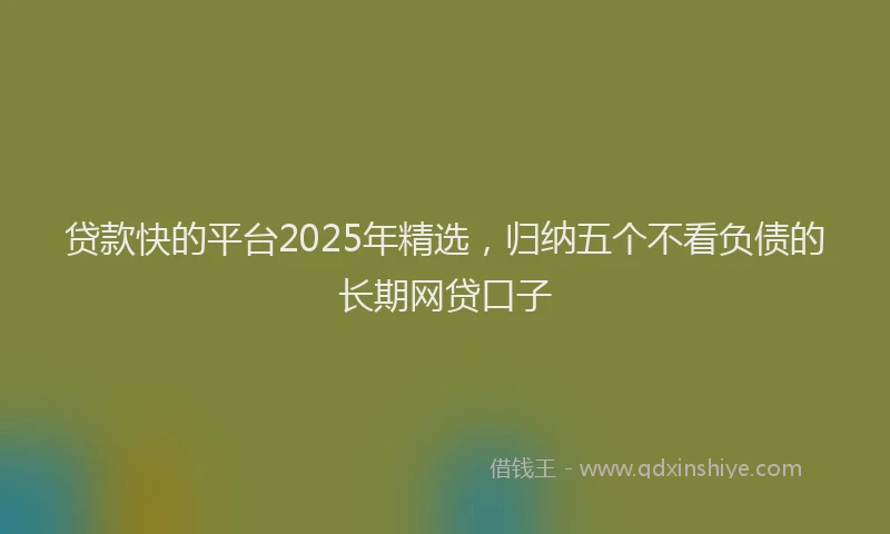 贷款快的平台2025年精选，归纳五个不看负债的长期网贷口子