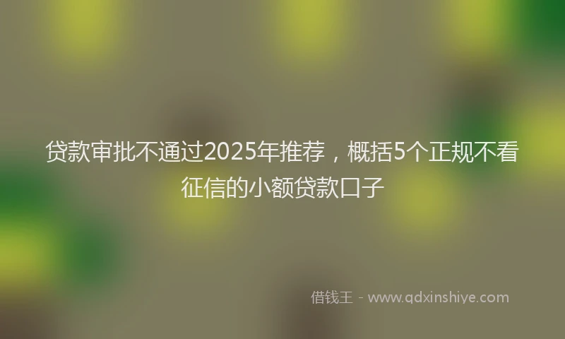 贷款审批不通过2025年推荐，概括5个正规不看征信的小额贷款口子