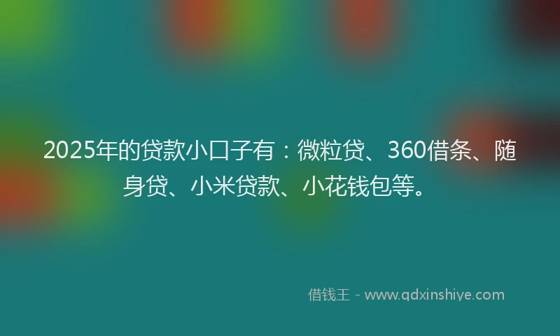2025年的贷款小口子有：微粒贷、360借条、随身贷、小米贷款、小花钱包等。