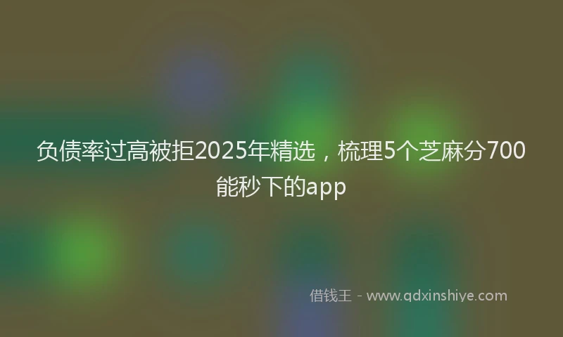 负债率过高被拒2025年精选，梳理5个芝麻分700能秒下的app