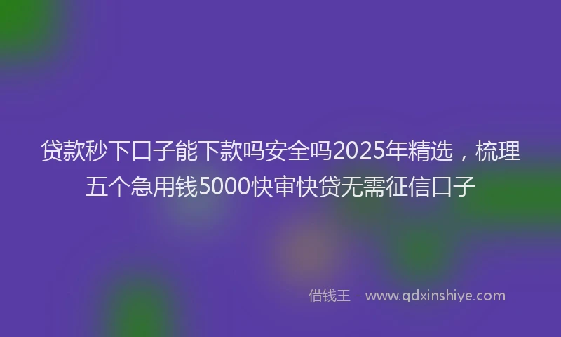 贷款秒下口子能下款吗安全吗2025年精选，梳理五个急用钱5000快审快贷无需征信口子