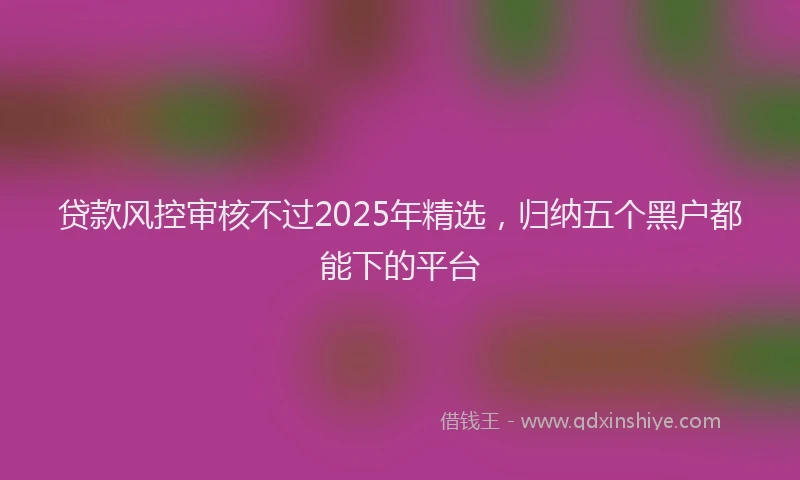贷款风控审核不过2025年精选，归纳五个黑户都能下的平台