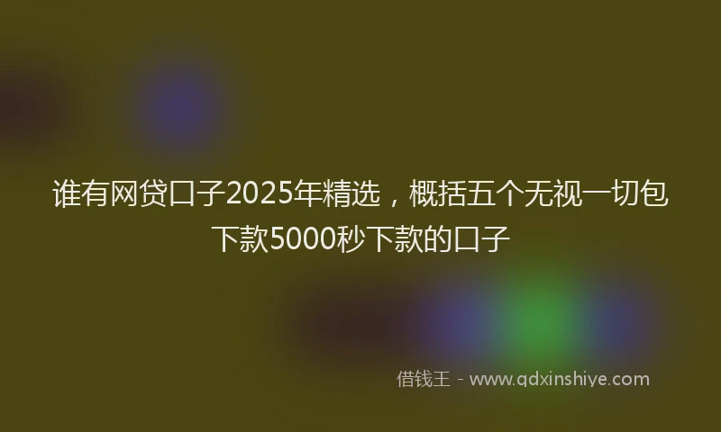 谁有网贷口子2025年精选，概括五个无视一切包下款5000秒下款的口子