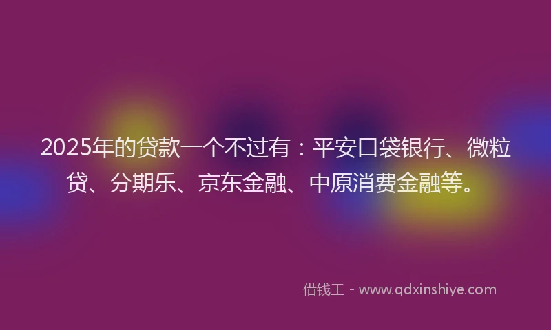 2025年的贷款一个不过有：平安口袋银行、微粒贷、分期乐、京东金融、中原消费金融等。