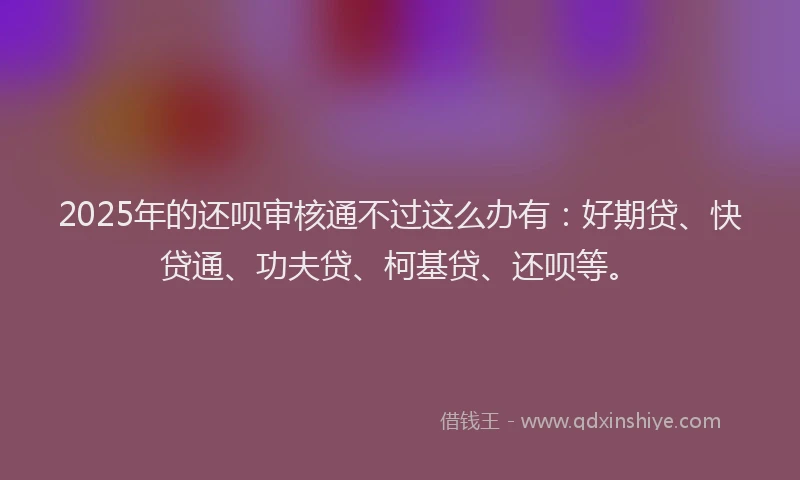2025年的还呗审核通不过这么办有：好期贷、快贷通、功夫贷、柯基贷、还呗等。