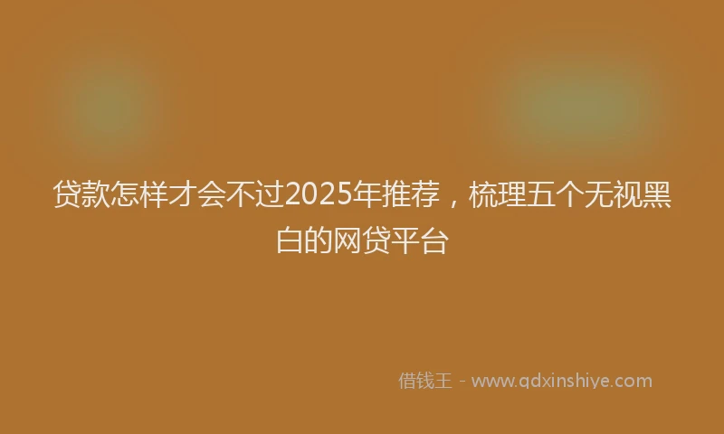 贷款怎样才会不过2025年推荐，梳理五个无视黑白的网贷平台