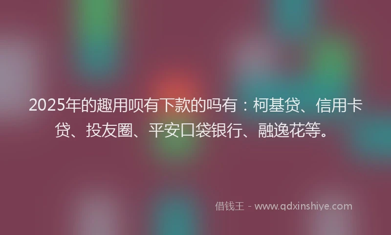 2025年的趣用呗有下款的吗有：柯基贷、信用卡贷、投友圈、平安口袋银行、融逸花等。