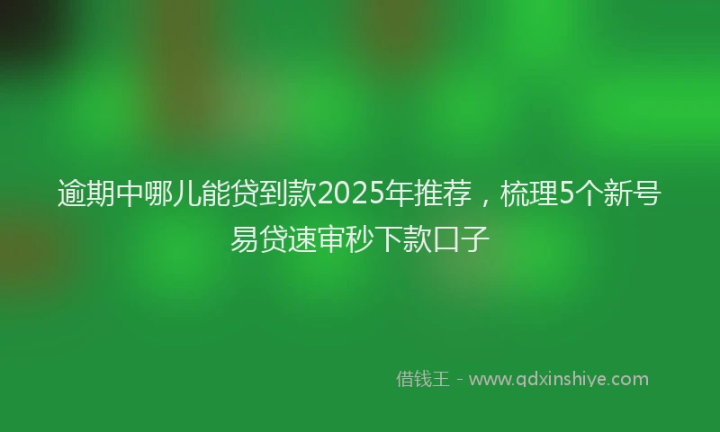 逾期中哪儿能贷到款2025年推荐，梳理5个新号易贷速审秒下款口子