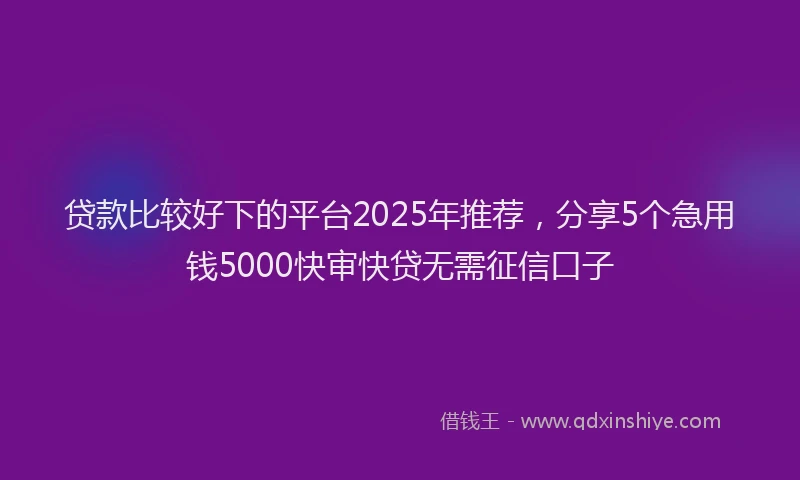 贷款比较好下的平台2025年推荐，分享5个急用钱5000快审快贷无需征信口子