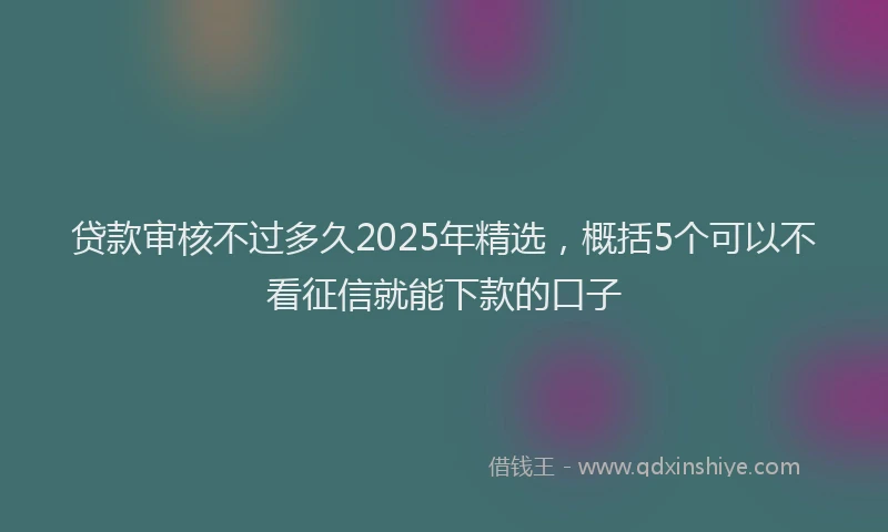 贷款审核不过多久2025年精选，概括5个可以不看征信就能下款的口子