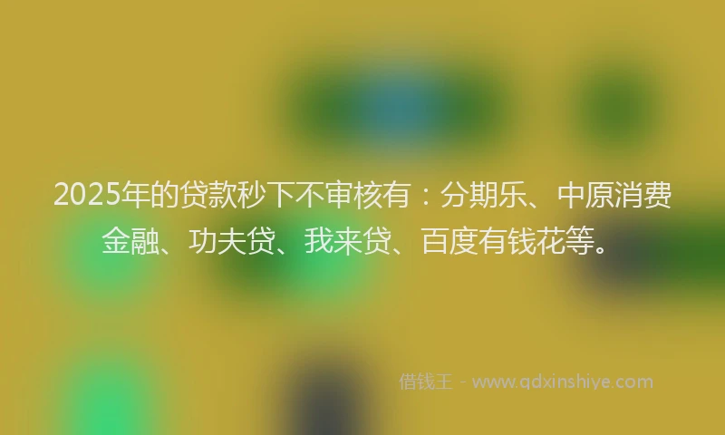 2025年的贷款秒下不审核有：分期乐、中原消费金融、功夫贷、我来贷、百度有钱花等。